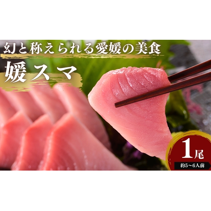 愛媛県産養殖「媛スマ」