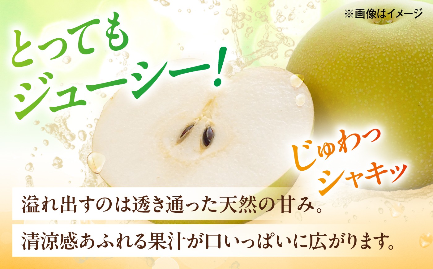梨 なし ナシ 和梨 果物 フルーツ 国産梨 ナシ なし 幸水 こうすい みずみずしい 甘い ジューシー 旬 大容量