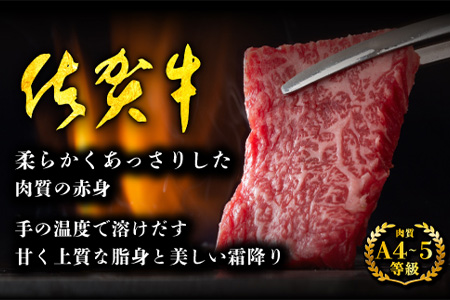 E-29 佐賀牛 ロース焼肉用500ｇ