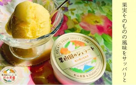 果樹園のジェラート 柑橘食べ比べ12個セット 100ml×12個 冷凍 ギフト アイスクリーム シャーベット