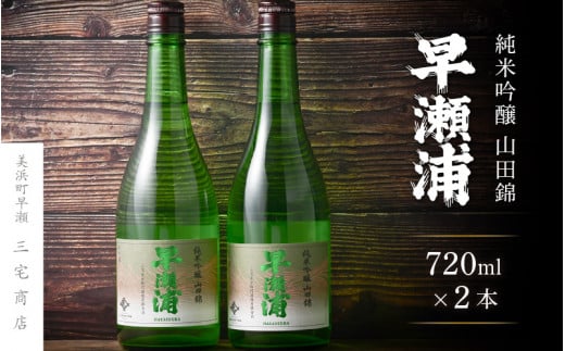 【早瀬浦】純米吟醸 山田錦 720ml × 2本 セット【入手困難 日本酒 地酒 福井 美浜 早瀬 フルーティ 男酒 硬水 ミネラル 希少 ご褒美 家飲み】[m16-a005]