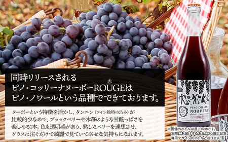 鶴岡産ワイン　2025年ヌーボーROUGE（赤ワイン）・BLANC（白ワイン）　720ml×2本　【市制施行20周年記念返礼品】ピノ・コッリーナファーム&ガーデンワイナリー松ケ岡