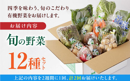 【全2回隔週定期便】有機野菜 オーガニック 12種セット 詰め合わせ 野菜詰め合わせ 熊本県産有機野菜 山都町産有機野菜 産地直送 高原野菜 新鮮有機野菜 採れたて有機野菜 旬 有機野菜セット 有機野