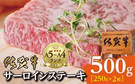 佐賀牛 サーロイン ステーキ 250g × 2枚 計500g 佐賀県産 黒毛和牛 厳選 牛肉 国産 霜降り 【 佐賀牛 サーロインステーキ 】（２５０ｇ×２枚）_d-72