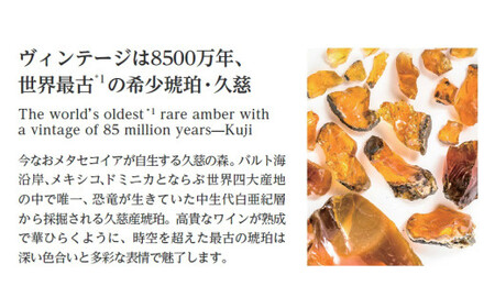 【苗字：古印体】【琥珀印章】トランジェントカラー１３.５ｍｍ【※最大３文字まで※】