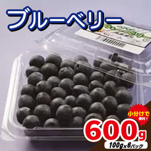 ブルーベリー 600g (100g×6パック) ﾌﾞﾙｰﾍﾞﾘｰﾌﾞﾙｰﾍﾞﾘｰﾌﾞﾙｰﾍﾞﾘｰﾌﾞﾙｰﾍﾞﾘｰﾌﾞﾙｰﾍﾞﾘｰﾌﾞﾙｰﾍﾞﾘｰﾌﾞﾙｰﾍﾞﾘｰ