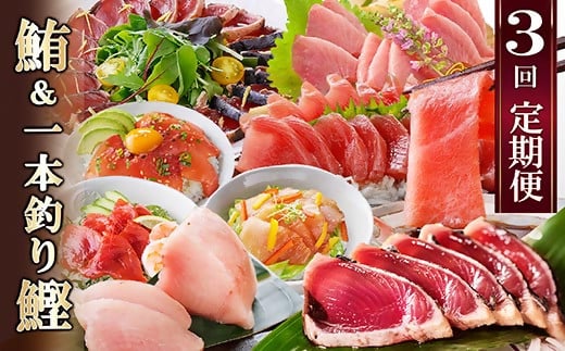 
定期便(3ケ月)枕崎ふるさと納税　まぐろ&一本釣りかつお　LL-6001【1457813】
