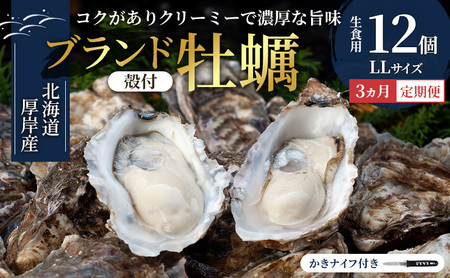 3ヵ月定期便 厚岸産牡蠣 LLサイズ 12個 生食用 ブランド牡蠣