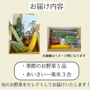 エシカル野菜5種とお米のセット 野菜セット