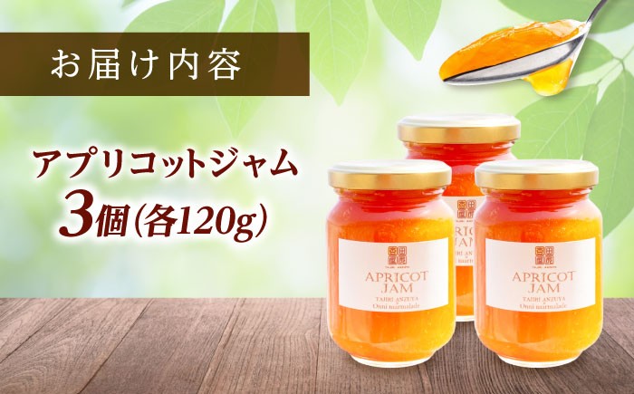 完熟あんずをたっぷり使った贅沢なジャム 杏 アプリコット 果物 フルーツ あんず