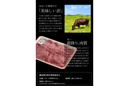 A01023　豊後黒毛和牛焼肉詰合せ約700g