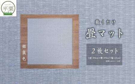 お部屋に和のくつろぎを！敷くだけ畳マット～銀鼠色～【株式会社平栗】