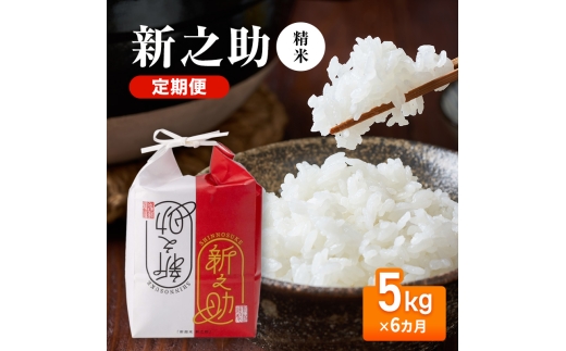 【先行予約】令和8年産 定期便 新之助精米5kg×6カ月