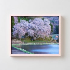 GOSHIKI FRAME【春桜・Mサイズ】(町産ヒノキのフォトフレーム)