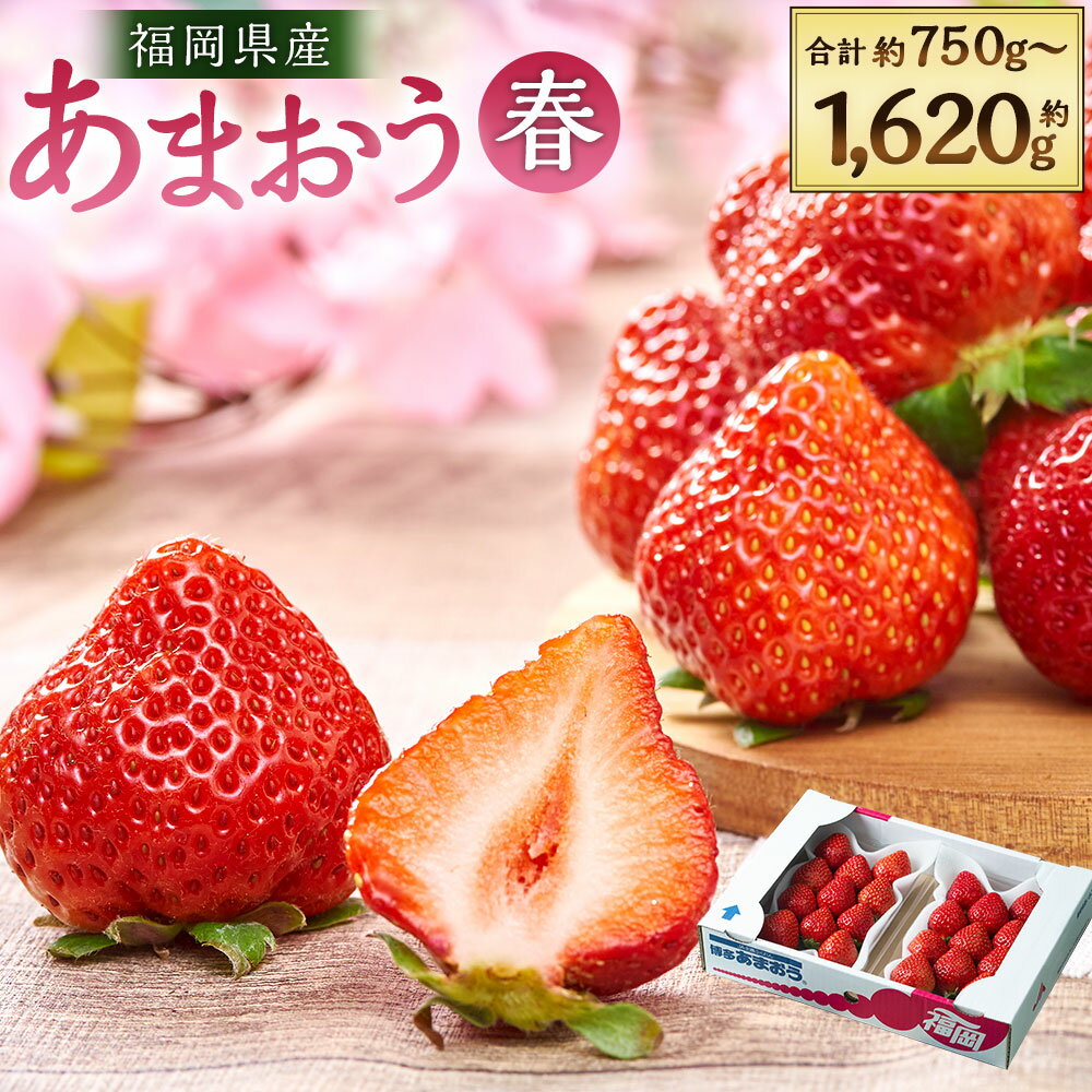 【ふるさと納税】福岡産【春】あまおう 3パック / 4パック / 6パック （1パックあたり約250g～270g） いちご イチゴ 苺 ベリー 果物 くだもの フルーツ 冷蔵 国産 九州 福岡県 岡垣町 送料無料 【2026年2月上旬～3月下旬発送予定】