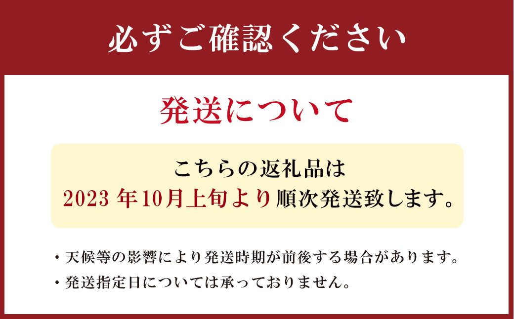 【2023年10月上旬から11月下旬迄順次発送】 りんご 4.5kg 九州産 シナノスイート 陽光 新世界 シナノゴールド ぐんま名月 果物 フルーツ