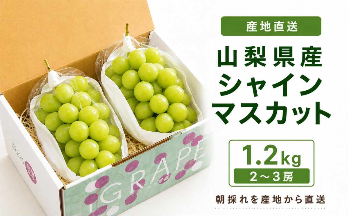 先行予約 産地直送厳選シャインマスカット 1.2㎏(2～3房)