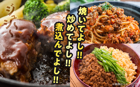 【2週間以内発送】≪訳あり≫宮崎県産牛ミンチ肉 計1.2kg(300g×4パック) 肉 牛 牛肉 国産_T025-042
