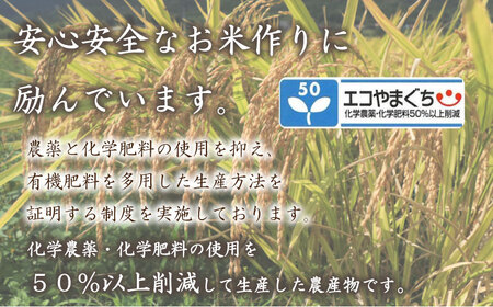 【先行予約】令和7年度米 コシヒカリ 10㎏ 隔月3回 (合計30kg) 山口県産 特別栽培エコ50 (化学農薬・肥料50％以上削減/精米まで一貫加工) 【2026年1月より順次発送】 DZ9105-