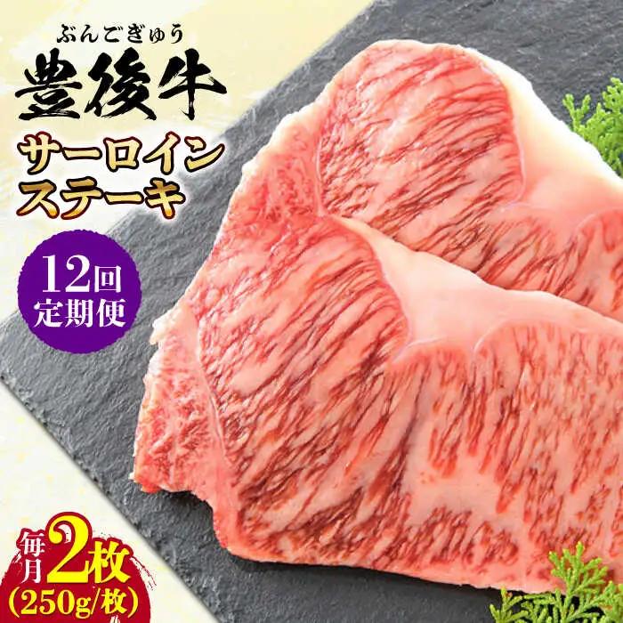 【全12回定期便】おおいた豊後牛 サーロインステーキ 500g (250g×2枚) サーロインステーキ [AREI058]