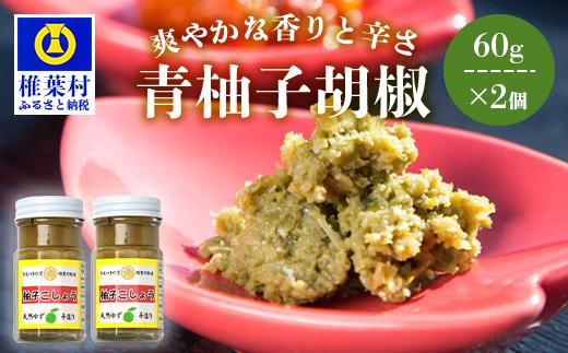【椎葉村産天然ゆず・唐辛子使用】青柚子胡椒 2本×60g 【柚子胡椒 柚子こしょう 青柚子胡椒 柚子 天然ゆず ユズ 調味料 薬味 ご当地  うどん 餃子 健康 便利 おすすめ ギフト プレゼント 父 母】HF-84