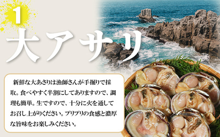 バーベキューセット 大アサリ 半割6個 サザエ 3個 冷凍 セット 詰め合わせ BBQ あさり さざえ 貝 貝類 かい 貝 かい さざえ