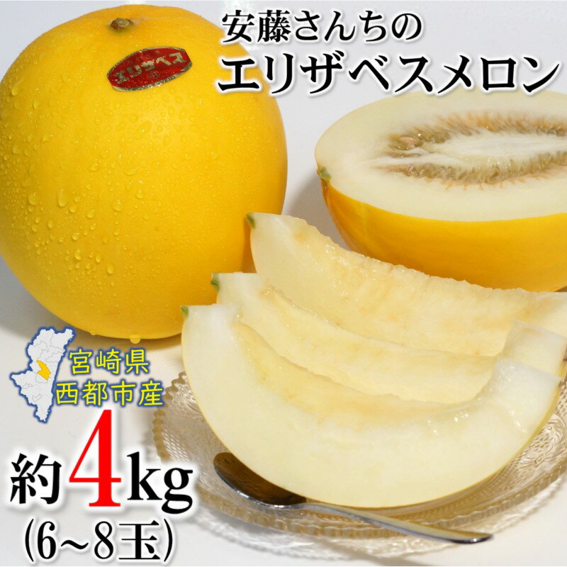 【ふるさと納税】安藤さんちのエリザベスメロン（約4kg）6～8個入宮崎県 西都市 メロン＜1.2-38＞先行予約