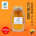 【ふるさと納税】 自家採蜜はちみつ 高麗人参入り 490g ハチミツ 蜂蜜 自家採蜜 高麗人参 朝鮮人参 国産100% 安達太良山 おたねにんじん 二本松養蜂場 滋養強壮 おすすめ お中元 お歳暮 ギフト 二本松市 ふくしま 福島県 送料無料 【あだたら高原いっぷく】