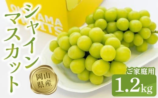 ご家庭用シャインマスカット1.2kg（2～3房）【数量限定300セット】【シャインマスカット マスカット シャイン ぶどう 葡萄 フルーツ 果物 おすすめ 人気 岡山県産 数量限定 新鮮】