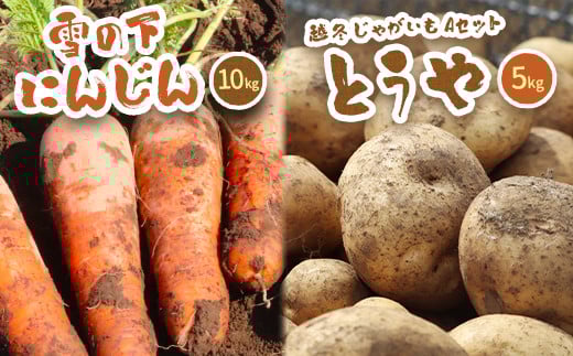 
北海道真狩村産　雪の下にんじん約10kgと越冬じゃがいも約5kg Aセット(とうや) 【2025年春お届け分】【0115401】
