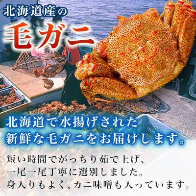 ふるさと納税 稚内市 【2025製造】ボイル毛ガニ1尾450g〜550g |  | 01