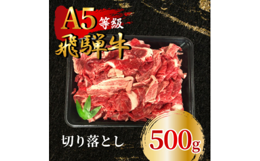 飛騨牛5等級 切り落とし500g　FTA195【1578212】