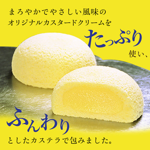 萩の月 6個入り 菓匠三全 銘菓 仙台 送料無料 ギフト