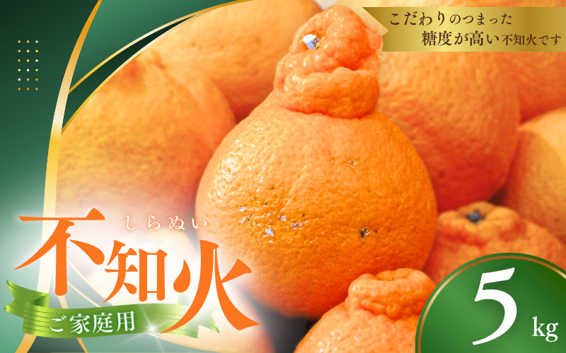 【ただ今順次発送中！】ご家庭用 不知火 5kg※箱込み【M～3Lのサイズおまかせ】【2026年1月下旬から4月上旬頃に順次発送】＜味好農園＞/不知火 デコポン 蜜柑 みかん 柑橘 果物 フルーツ 【a