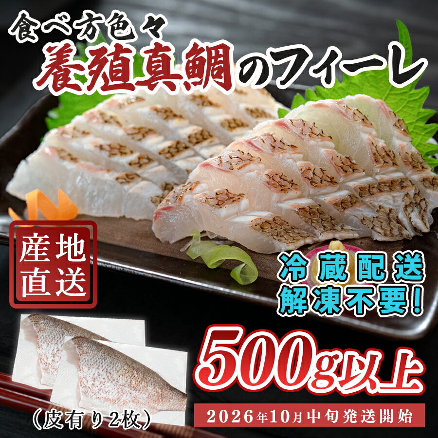 【ふるさと納税】【先行受付】 朝獲れ 真鯛 フィーレ 皮付き 500g以上 刺身 冷蔵 養殖 たい タイ マダイ セット 真空パック 産地直送 当日発送 鮮度抜群 鯛めし 鯛丼 カルパッチョ 塩焼き お取り寄せ ギフト 贈答 はやぶさ水産 高知県 大月町 柏島産