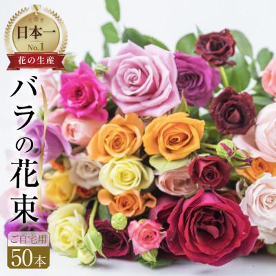 ふるさと納税 田原市 バラの花束　訳ありチャーミングローズ50本
