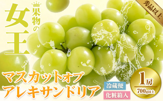 【2025年先行予約】マスカット オブ アレキサンドリア 1房(1房700g以上) 化粧箱入 株式会社山博(中本青果)《2025年7月中旬-7月下旬頃出荷》岡山県 浅口市 ぶどう マスカット 大粒 フルーツ 秀品 旬 果物 贈り物 ギフト 国産 岡山県産 送料無料【配送不可地域あり】
