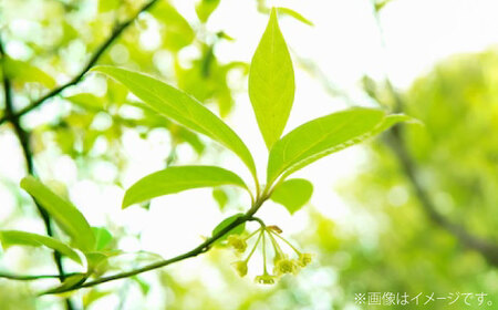 ホーリーバジル芳香蒸留水 50ml×3本 香り 香水 フレグランス いい匂い 自然な香り リラックス ギフト 贈答 島根県雲南市/有限会社田井産業[AICY019]