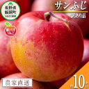 【ふるさと納税】 りんご 葉とらず サンふじ 訳あり 10kg かざまファーマー 沖縄県への配送不可 令和6年度収穫分 長野県 飯綱町 〔 傷 不揃い リンゴ 林檎 果物 フルーツ 信州 長野 15000円 予約 農家直送 〕発送時期：2024年11月中旬～2025年3月中旬 {*}