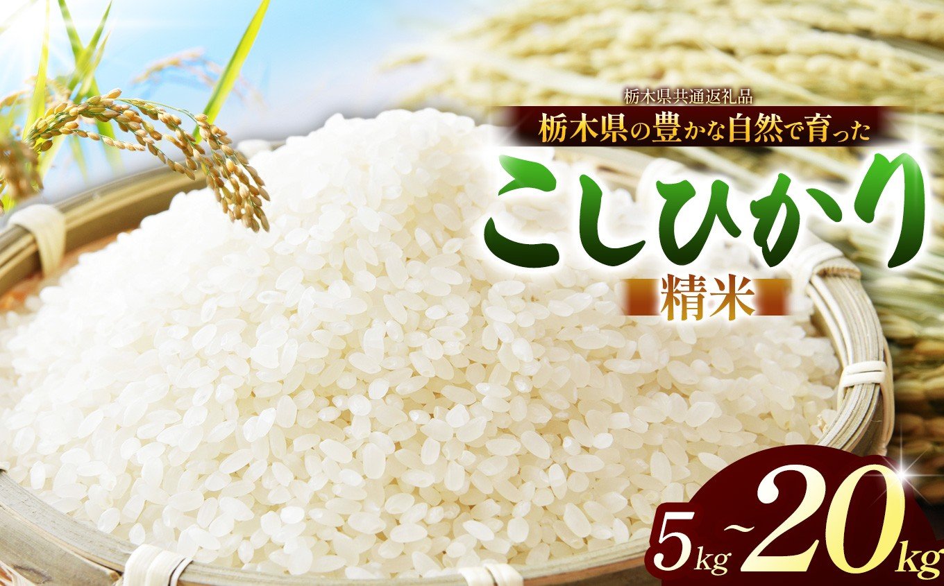 
                  【チョイス限定】 こしひかり（白米) 選べる内容量 約 5kg ~ 約 20kg 栃木県共通返礼品｜コシヒカリ 米 白米 おいしい お米 こめ おこめ 白米 精米 国産 ごはん ご飯 白飯 米 おこめ 白米 精米ゴハン ランキング 人気  ふるさと 納税 栃木県 那珂川町 送料無料
                