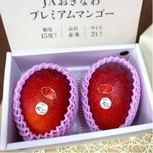 【2026年6月から順次発送・数量限定】糖度15度以上を選別した「プレミアムマンゴー」2玉【配送不可地域：離島】【1681773】