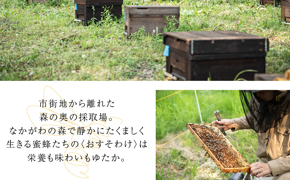 KIKORIシリーズ「森蜜」（大サイズ3種セット）