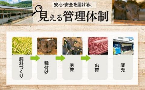 黒毛和牛”満足”定期便（牛すじ）約2kg×5回