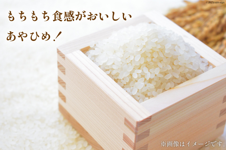 米 あやひめ 5kg [けんぶちVIVAマルシェ 北海道 剣淵町 14656303] お米 白米 精米 ご飯 ごはん コメ こめ 国産