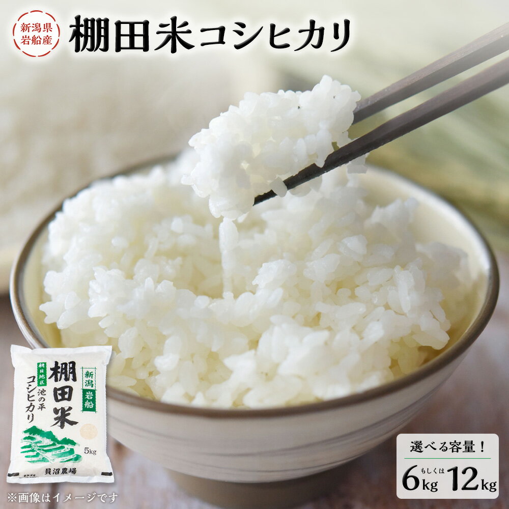 【ふるさと納税】【令和7年産米】【選べる容量】 新潟県村上市岩船産 棚田米 コシヒカリ 6kg もしくは 12kg お米 精米 白米 ご飯 ごはん 村上市 A4184 B4107