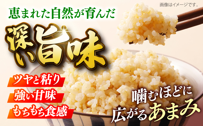 特別栽培米コシヒカリ 真空パック玄米20kg（5kg×4袋） お米 こしひかり ご飯 コシヒカリ おこめ 三次市/小川モータース [APCH008]