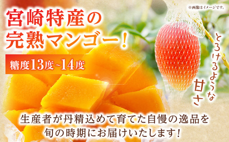 《2026年発送先行予約》【数量・期間限定】3回定期便 2L3玉完熟マンゴーコース 果物 フルーツ マンゴー