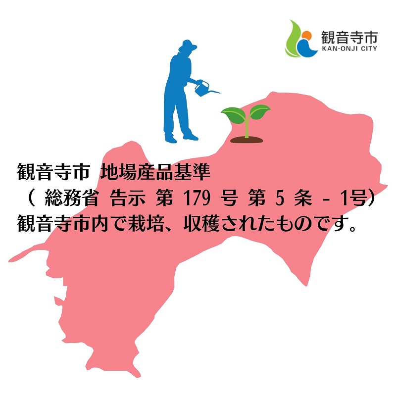 【2月より発送開始】いちご「さぬきひめ」大粒 約1kg 【配送不可エリア】北海道、 沖縄県、離島エリア 果物類 苺 イチゴ フルーツ 4パック 