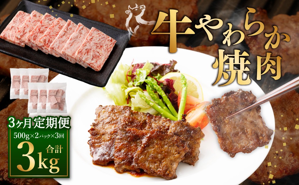 
            【定期便3回】 牛やわらか焼肉 ／ 1回あたり：500g×2パック 計1kg ／ 焼肉 焼き肉 牛 肉牛 冷凍 熊本県 あさぎり町
          