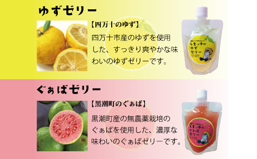 しまッチ の 飲むゼリー 10個 常温便 冷やして おいしい ゼリー フルーツゼリー ドリンク スイーツ おやつ プルプル ゆず ユズ 柚子 ぐぁば グァバ 香料不使用 果実味 お取り寄せ 高知県 高